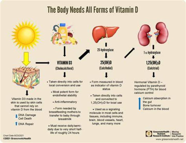 What is the best form of vitamin D?