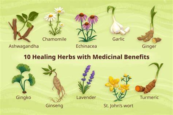 What is the best herb for neuropathy?