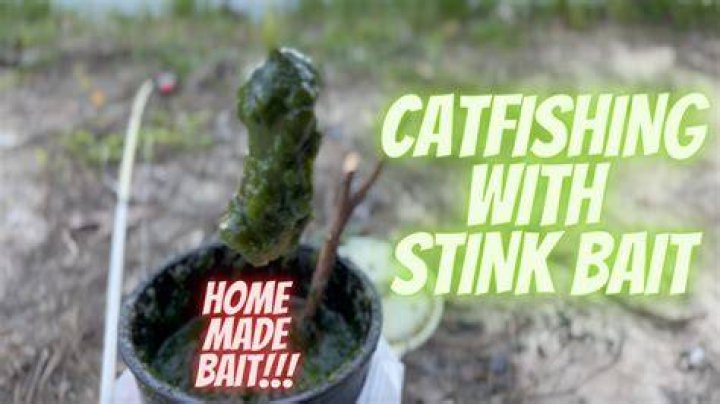 What is the best stink bait for catfish?