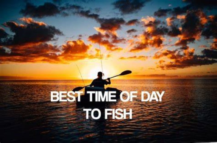 What is the best time of day to fish in Florida?