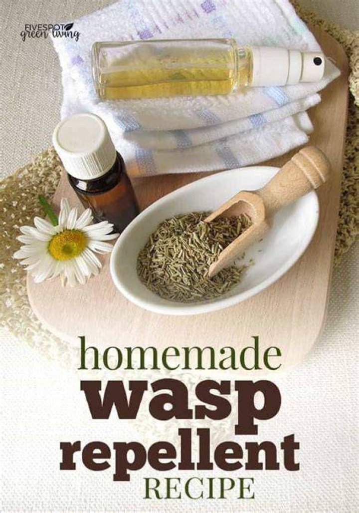 What is the best wasp repellent?