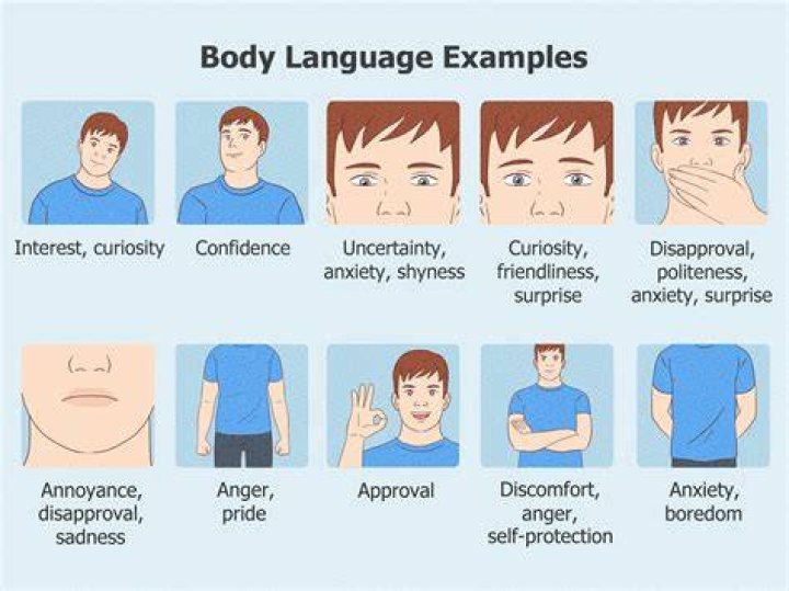 What is the body language of a liar?