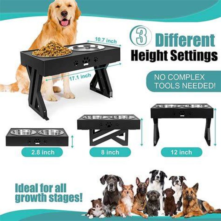 What is the correct height for elevated dog bowls?