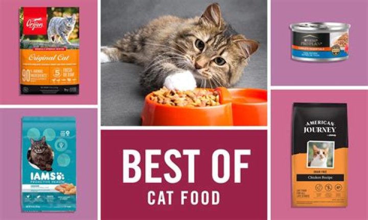 What is the healthiest food for indoor cats?