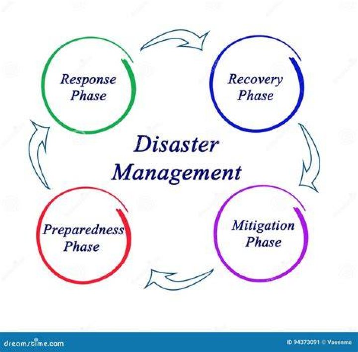 What is the importance of disaster management?
