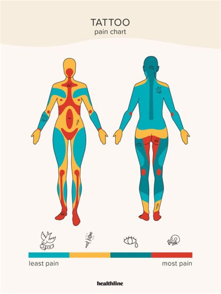 What is the least common body shape?