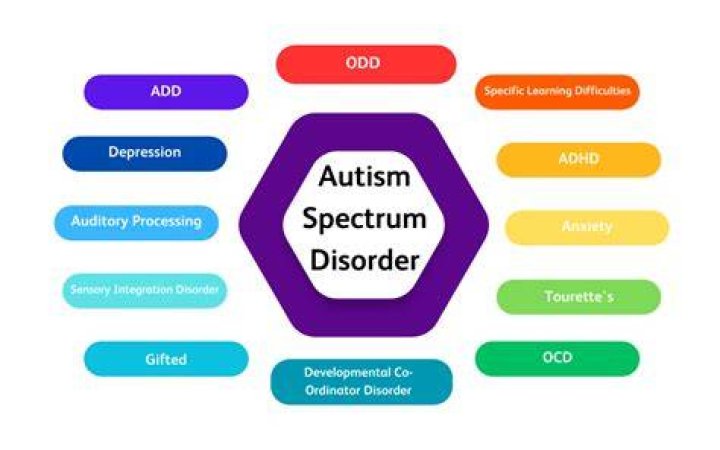 What is the lowest form of autism?