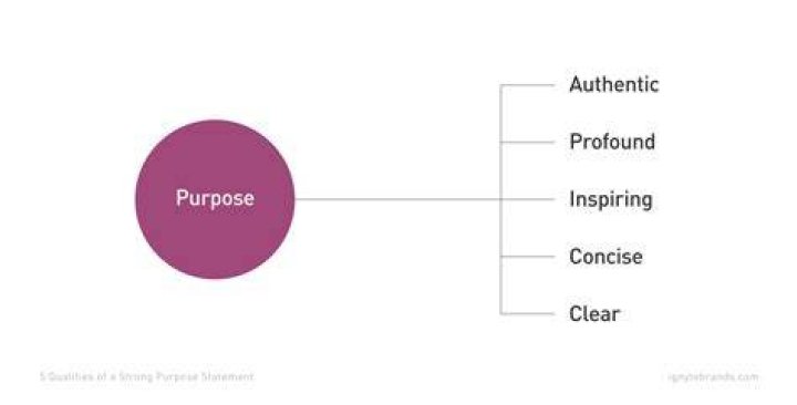 What is the main purpose of a critique?
