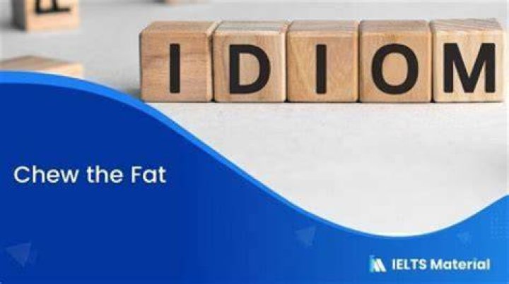What is the meaning of the idiom chew the fat?