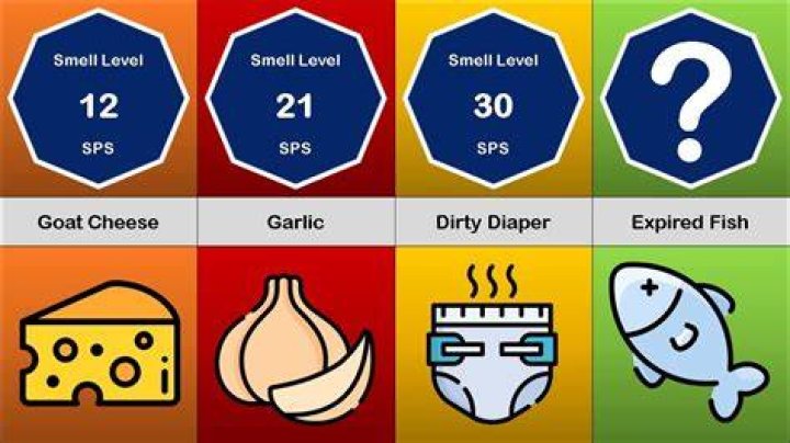 What is the most smelly thing in the world?