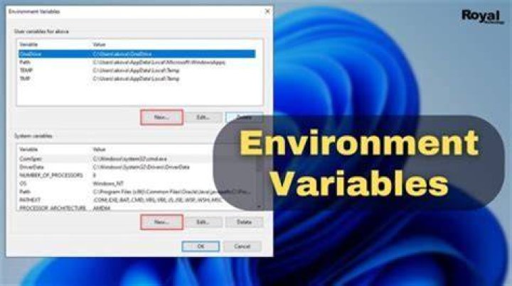What is the purpose of environment variables?