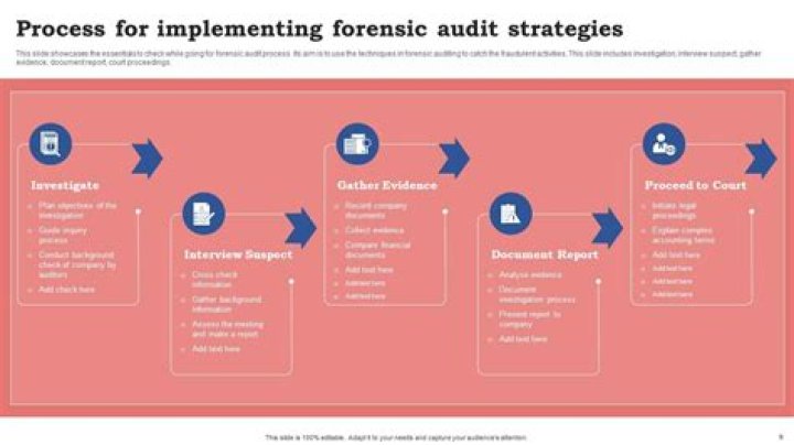 What is the steps of forensic audit?