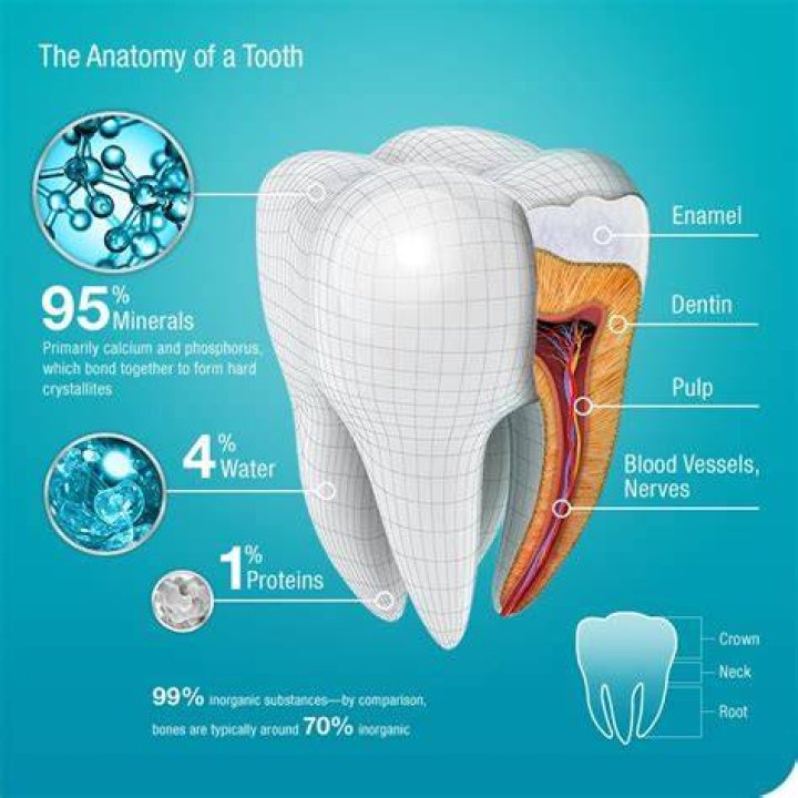 What is tooth enamel?