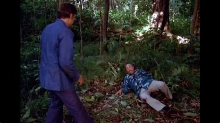What is Wo Fat to Doris McGarrett?