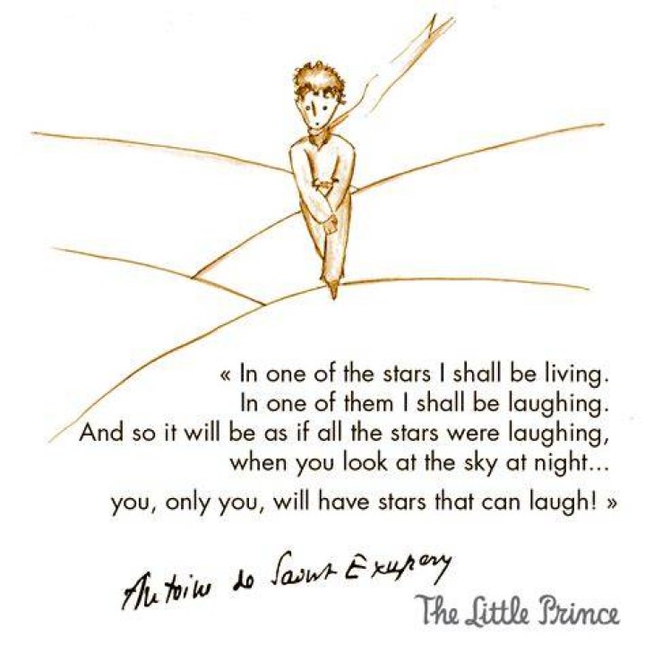 What lesson can you get from The Little Prince?