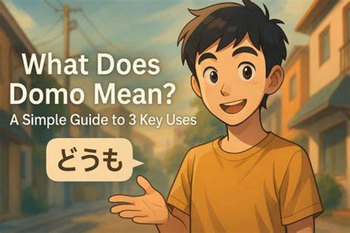What means Domo?