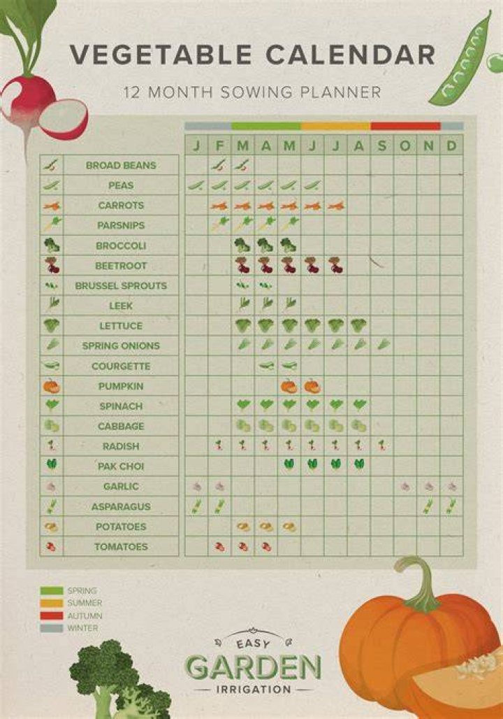 What month should I start my vegetable garden?