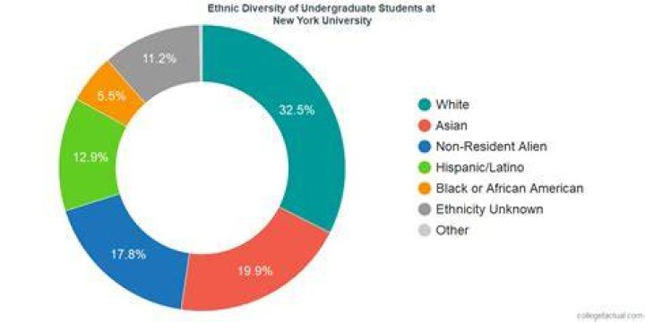 What percentage of NYU students are female?