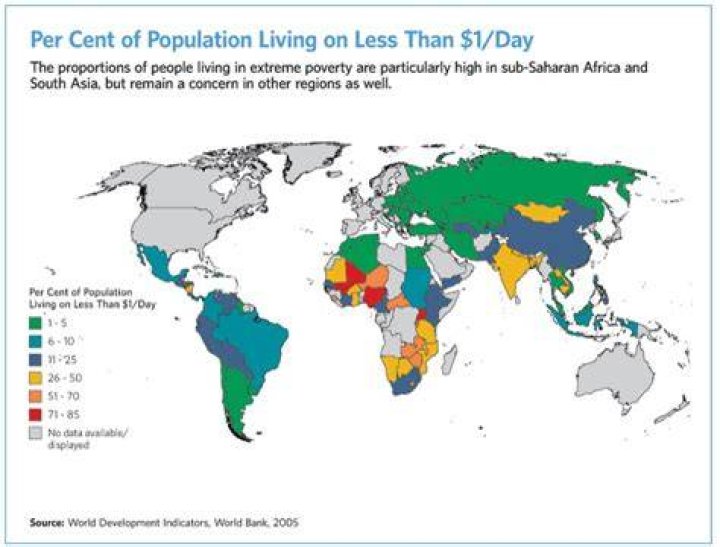 What percentage of the world lives on less than $2 a day?