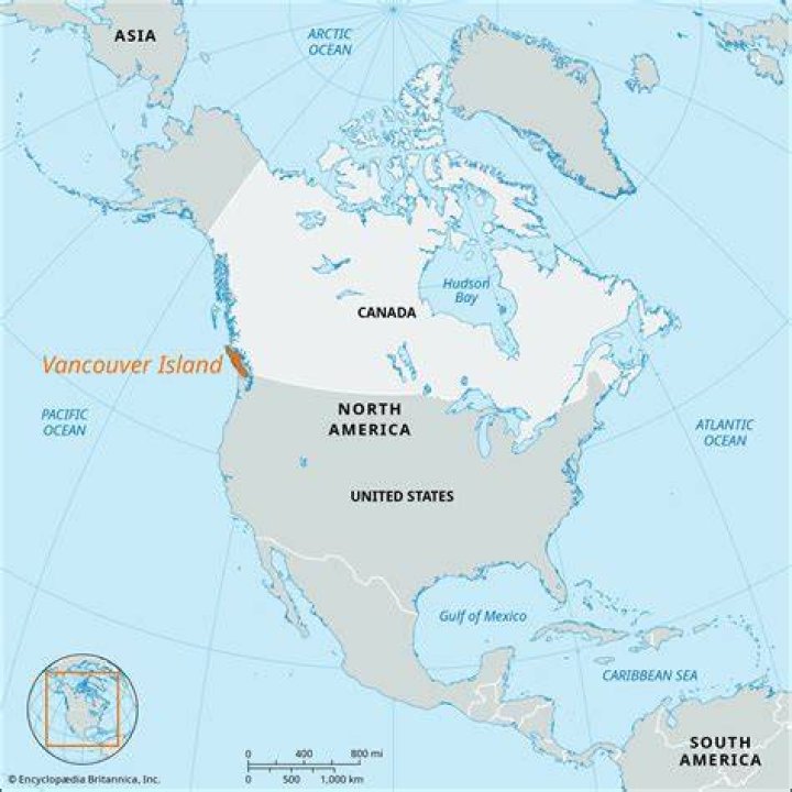 What percentage of Vancouver is white?