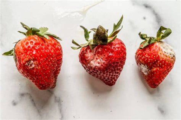What problems do strawberries have?