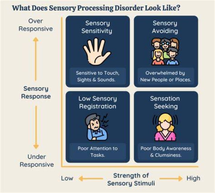 What sensory processing disorder feels like?