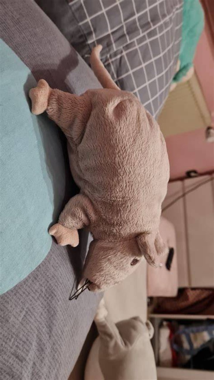 What should I name my rat?