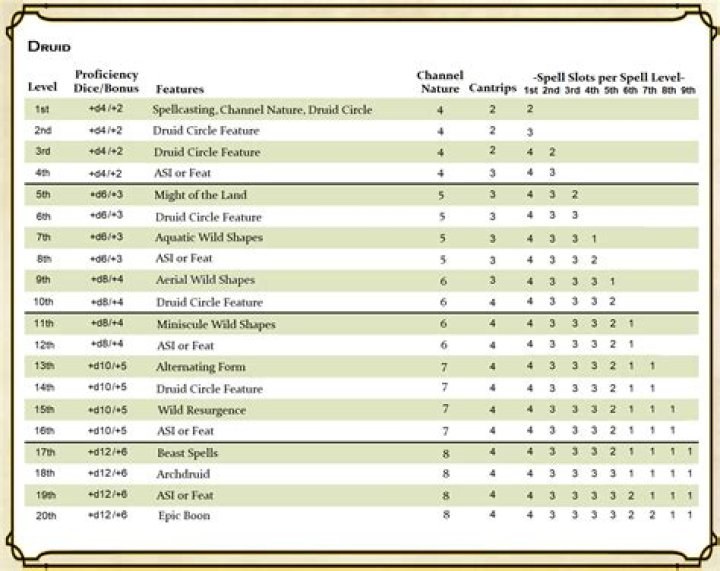 What stats are best for druid?