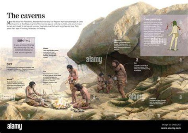 What type of species were cavemen?