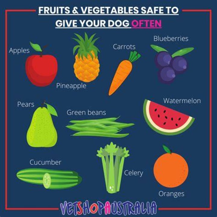 What veggies can dogs eat every day?