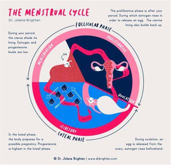 When a girl is menstruating she should change her menstrual pad every two days?