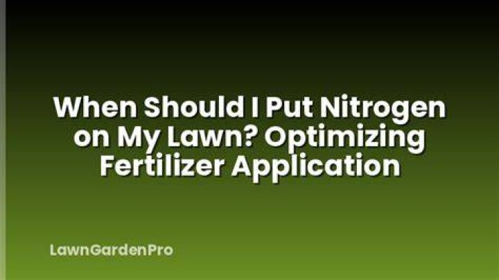 When should I put nitrogen on my lawn?