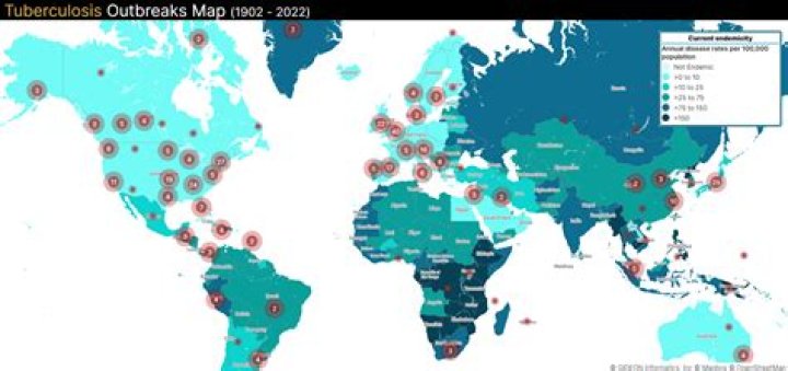 Where did tuberculosis come from?