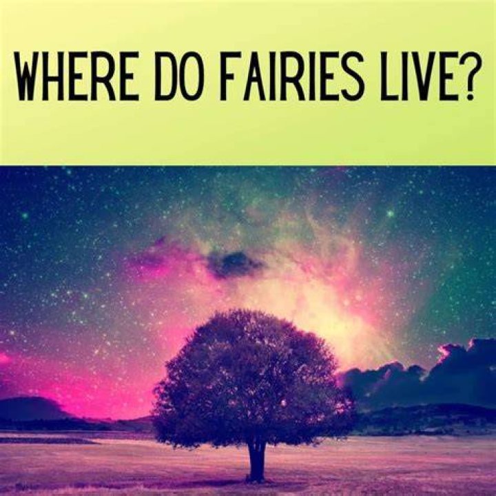 Where do the fairies live?