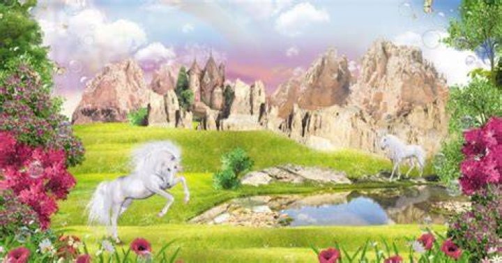 Where do unicorns live?