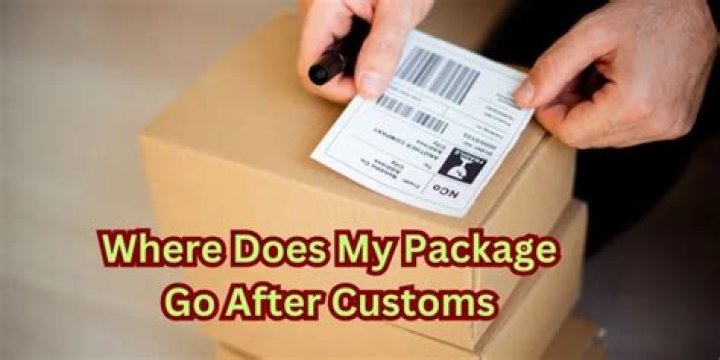 Where does my package go after clearing customs?