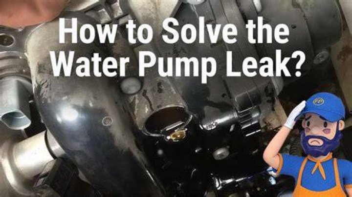 Where does the water pump leak from?