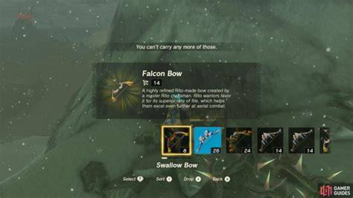Where is Falcon bow Botw?
