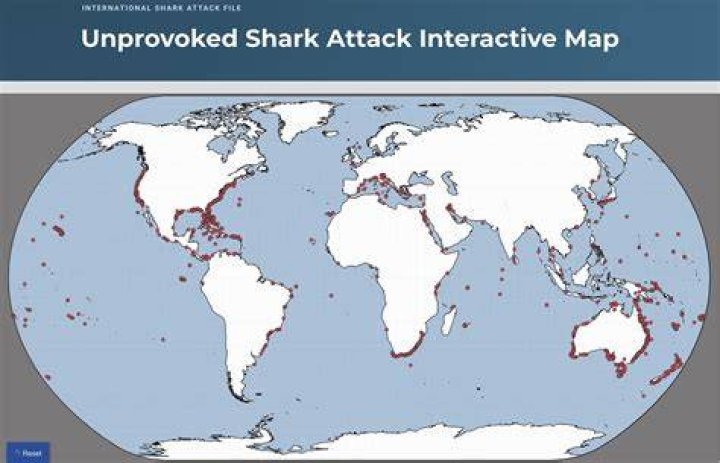 Where is there no sharks?
