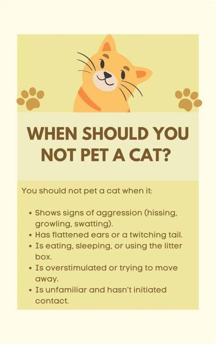 Where should you not pet cats?