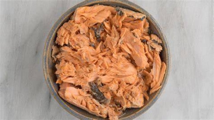 Which canned salmon has the least mercury?