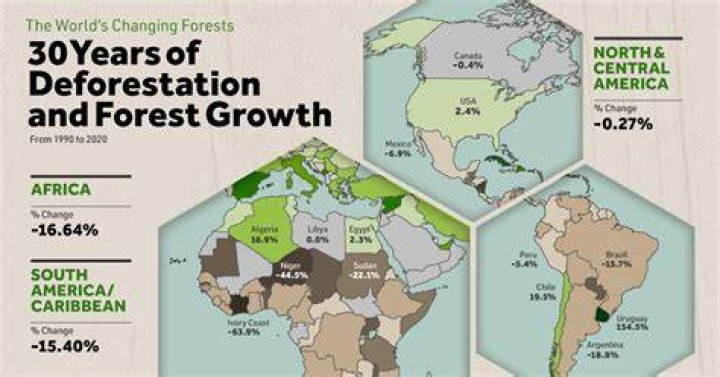 Which country is first in deforestation?