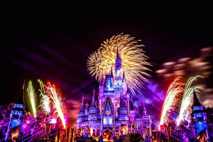 Which Disney park has fireworks at night?