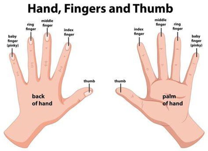 Which hand is the dominant hand in Chipping?