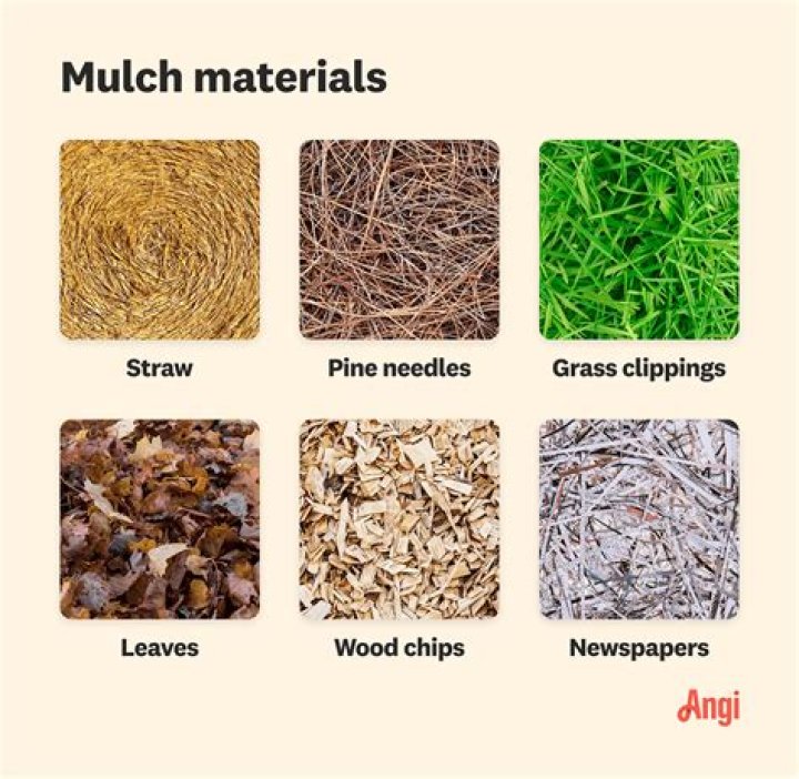 Which is better mulch or wood chips?