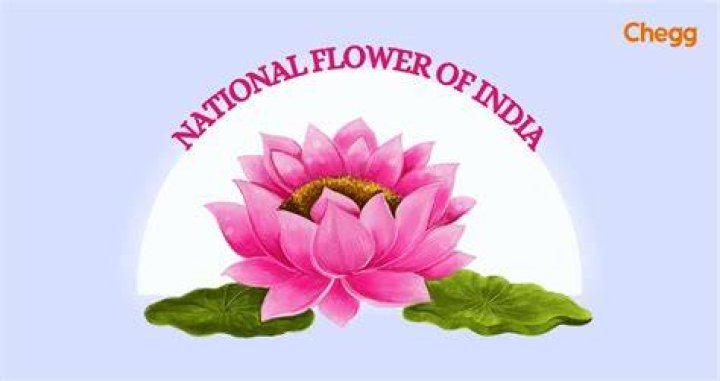 Which is India's national flower?