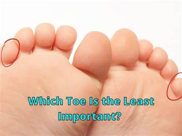Which is the least important toe?