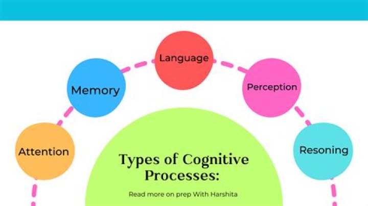 Which of the following are important aspects of cognition?