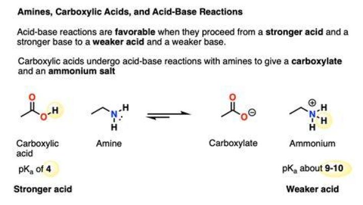 Which option explains why this amino acid can act as both an acid and a base?