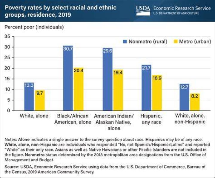 Which race has the highest poverty rate in the US?